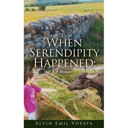 When Serendipity Happened - Paperback