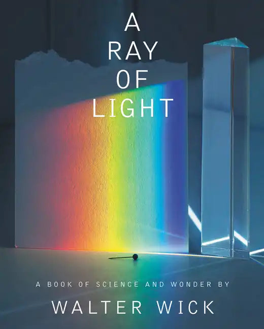 A Ray of Light - Hardcover