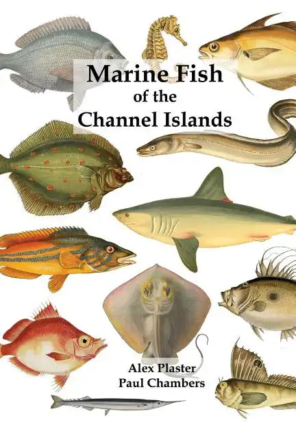 Marine Fish of the Channel Islands - Paperback