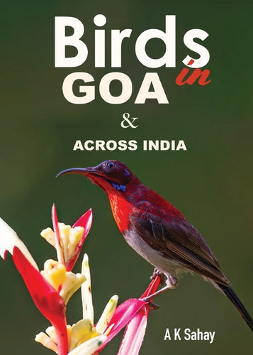 Birds in Goa & Across India - Paperback