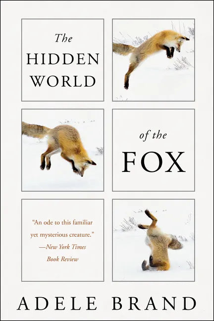 The Hidden World of the Fox - Paperback