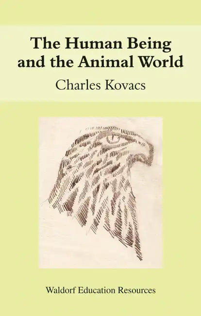 The Human Being and the Animal World - Paperback