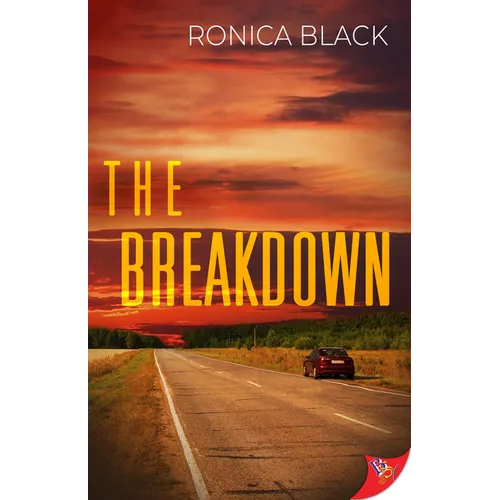 The Breakdown - Paperback