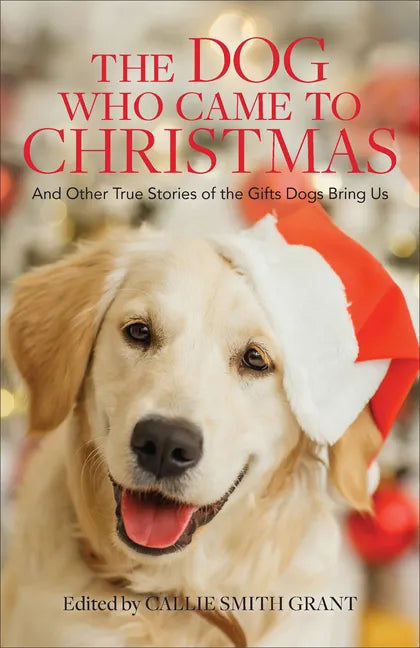 Dog Who Came to Christmas - Hardcover