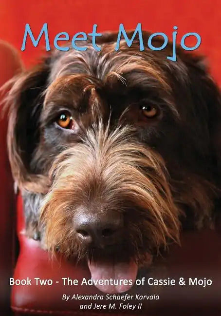 Meet Mojo - Paperback