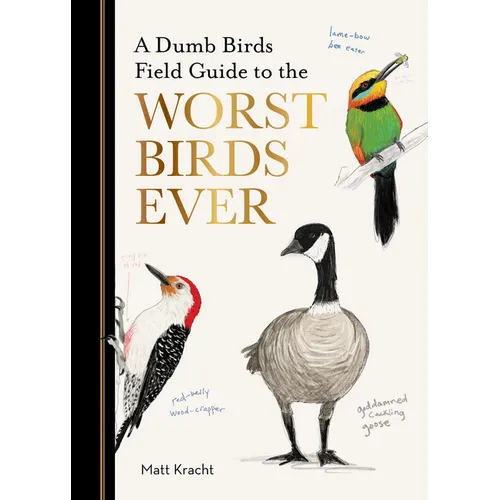 A Dumb Birds Field Guide to the Worst Birds Ever - Paperback
