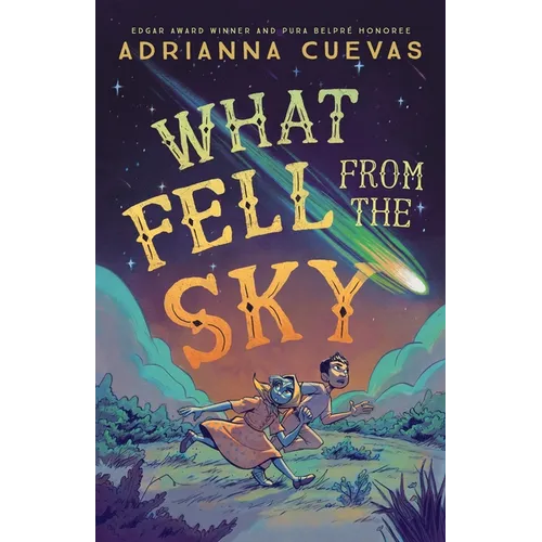 What Fell from the Sky - Hardcover