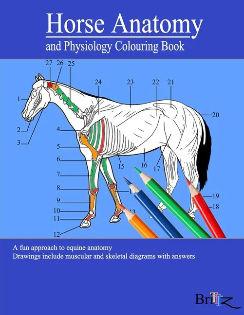 Horse Anatomy and Physiology Colouring Book: A Detailed Guide to Equine Anatomy with Answers Perfect Gift for Veterinary Students, Animal lovers, Adul - Paperback