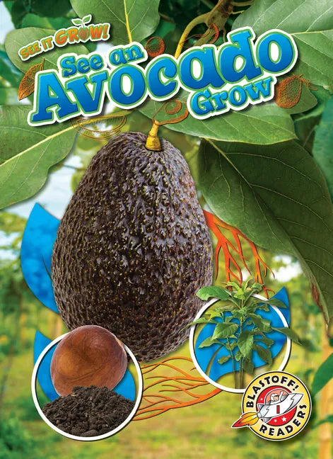 See an Avocado Grow - Library Binding