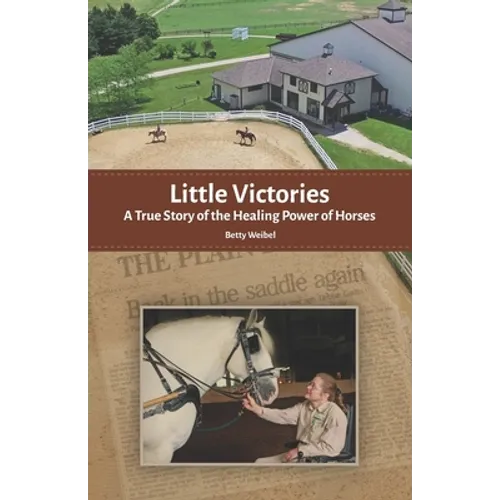 Little Victories: A True Story of the Healing Power of Horses - Paperback