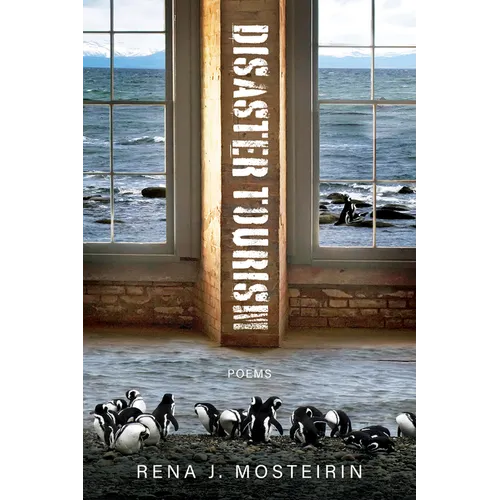 Disaster Tourism - Hardcover