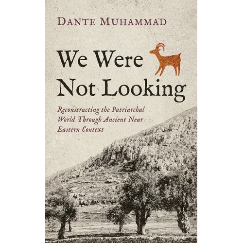 We Were Not Looking: Reconstructing the Patriarchal World Through Ancient Near Eastern Context - Paperback