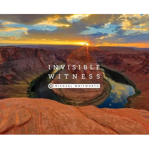 Invisible Witness - Hardcover