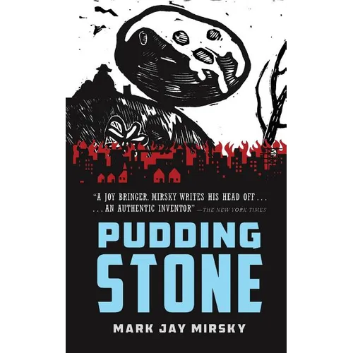 Puddingstone: Franklin Park - Paperback