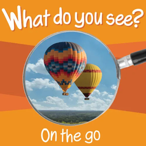 What Do You See: On the Go - Board Book