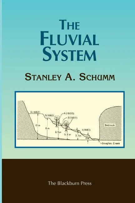 The Fluvial System - Paperback