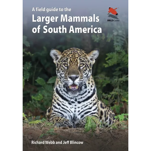 A Field Guide to the Larger Mammals of South America - Paperback