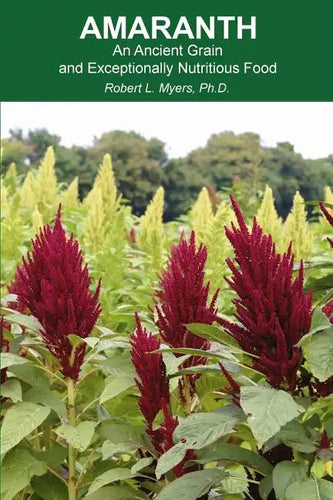 Amaranth: An Ancient Grain and Exceptionally Nutritious Food - Paperback