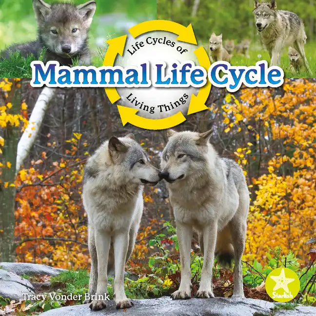Mammal Life Cycle - Paperback
