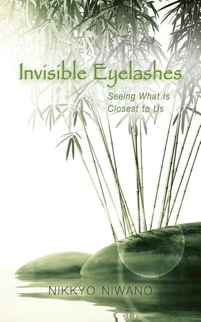 Invisible Eyelashes: Seeing What Is Closest to Us - Paperback