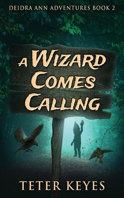 A Wizard Comes Calling - Paperback