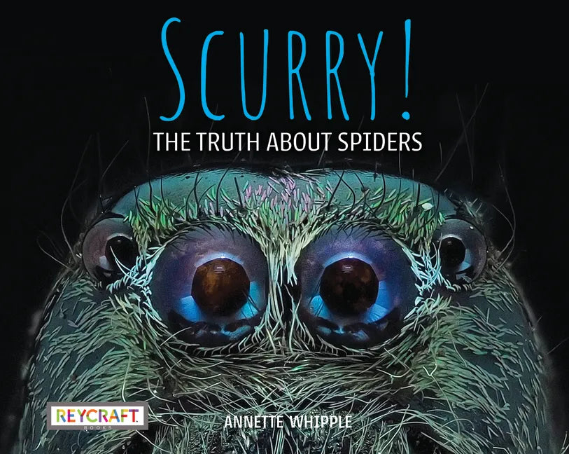 Scurry: The Truth about Spiders: The Truth about Spiders - Paperback
