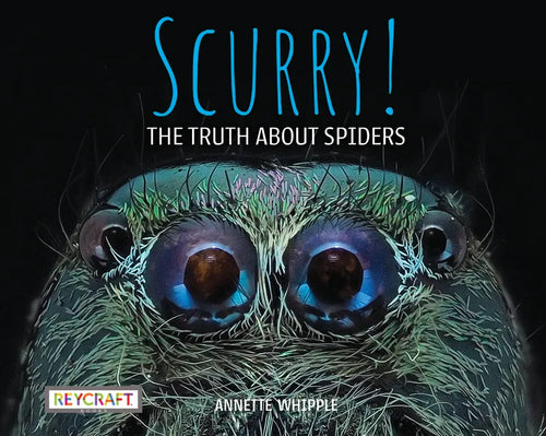 Scurry: The Truth about Spiders: The Truth about Spiders - Paperback