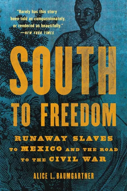 South to Freedom: Runaway Slaves to Mexico and the Road to the Civil War - Paperback
