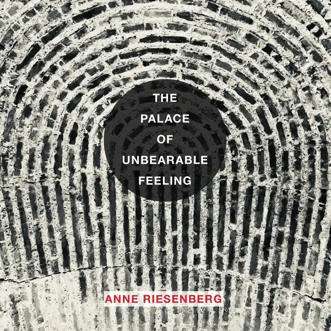 The Palace of Unbearable Feeling - Paperback