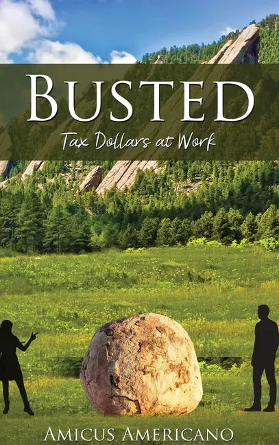 Busted (Tax Dollars at Work) - Hardcover