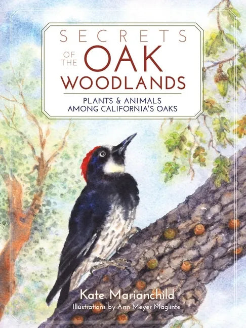 Secrets of the Oak Woodlands: Plants and Animals Among California's Oaks - Paperback