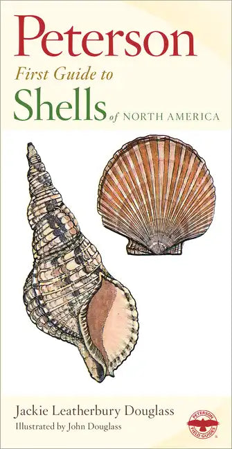Shells of North America - Paperback