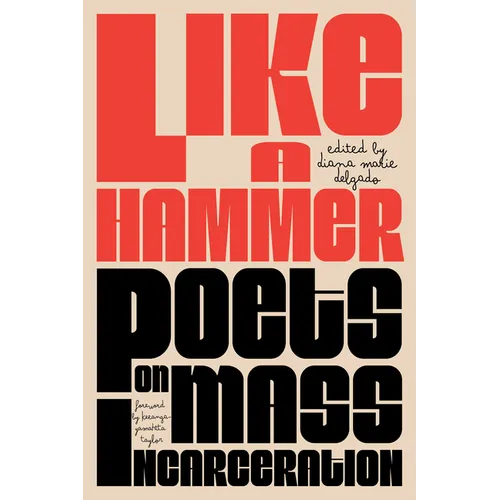 Like a Hammer: Poets on Mass Incarceration - Paperback
