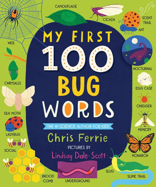 My First 100 Bug Words - Board Book