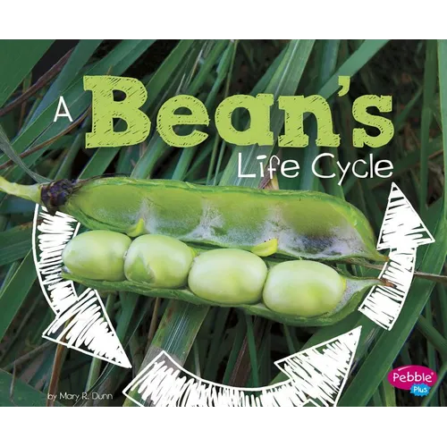 A Bean's Life Cycle - Paperback