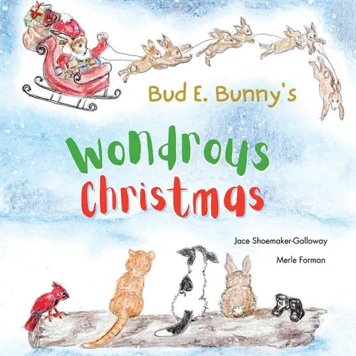 Bud E. Bunny's Wondrous Christmas - Paperback