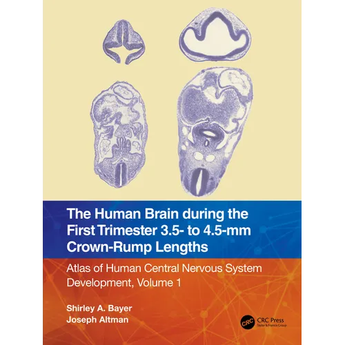 The Human Brain During the First Trimester 3.5- To 4.5-MM Crown-Rump Lengths: Atlas of Human Central Nervous System Development, Volume 1 - Paperback