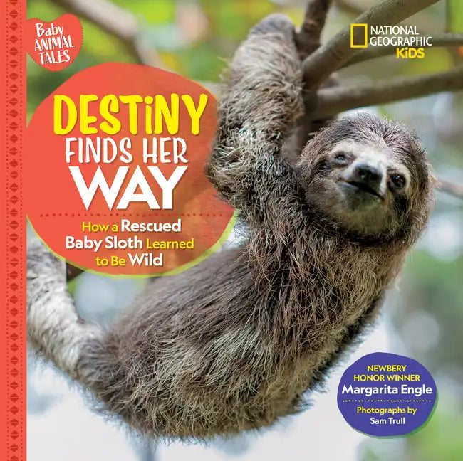 Destiny Finds Her Way: How a Rescued Baby Sloth Learned to Be Wild - Library Binding