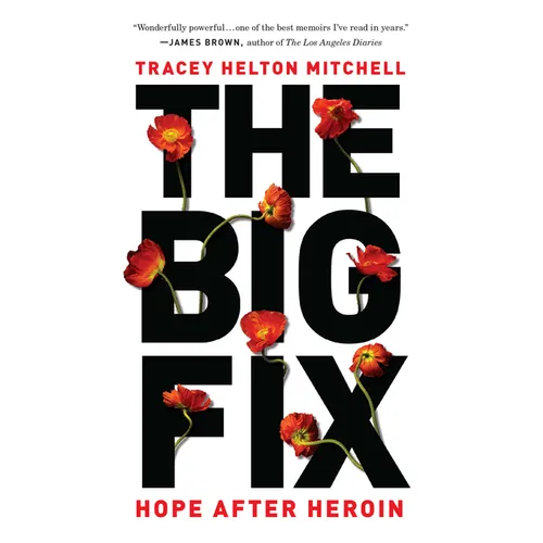 The Big Fix: Hope After Heroin - Paperback