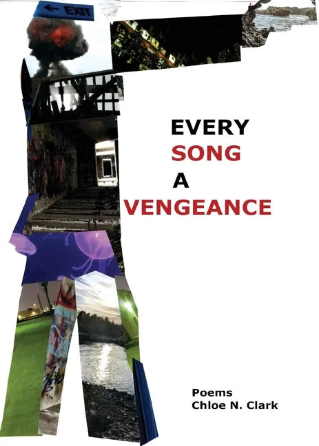 Every Song a Vengeance - Paperback