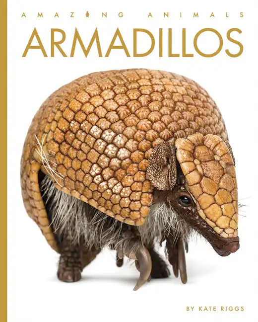 Armadillos - Paperback