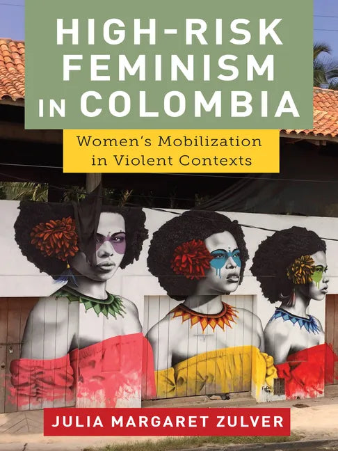 High-Risk Feminism in Colombia: Women's Mobilization in Violent Contexts - Paperback
