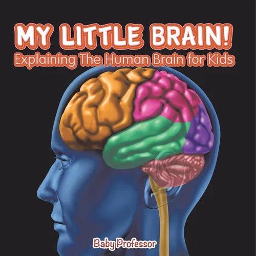 My Little Brain! - Explaining The Human Brain for Kids - Paperback