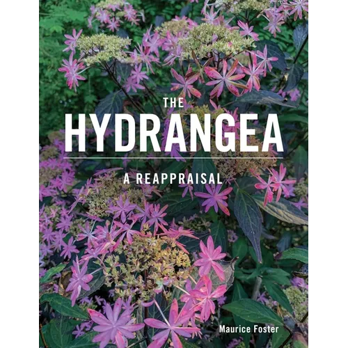 The Hydrangea: A Reappraisal - Hardcover