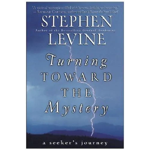 Turning Toward the Mystery: A Seeker's Journey - Paperback