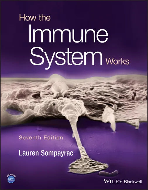 How the Immune System Works - Paperback