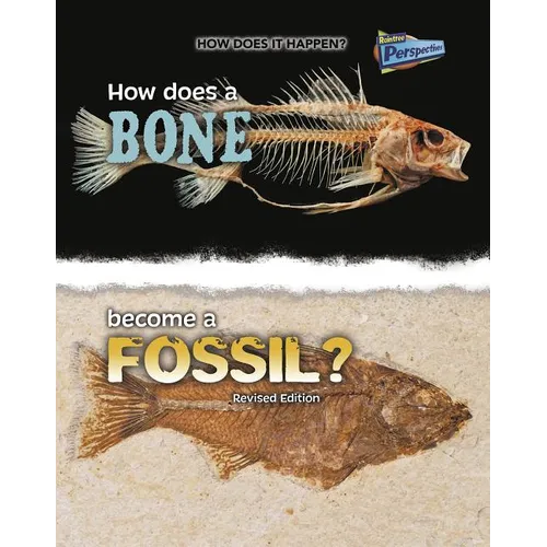 How Does a Bone Become a Fossil? - Paperback