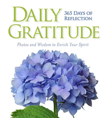 Daily Gratitude: 365 Days of Reflection - Hardcover