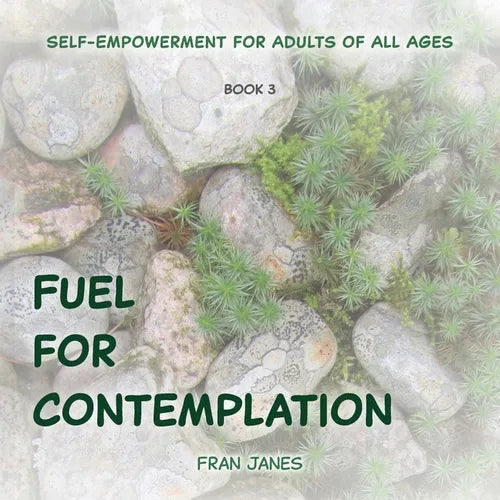 Fuel for Contemplation - Paperback