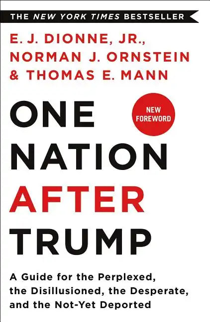 One Nation After Trump: A Guide for the Perplexed, the Disillusioned, the Desperate, and the Not-Yet Deported - Paperback